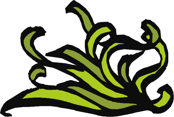 The image shows a black and white illustration of an abstract design with green accents that resembles waves or swirls in motion against a dark background.