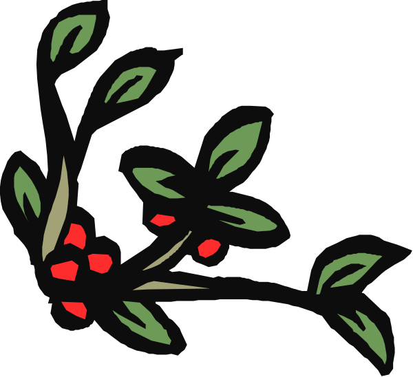 The black and white illustration shows a stylized plant with red berries on it surrounded by green leaves at its base.