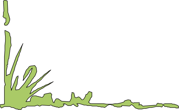The image shows a black background with an abstract design that resembles green plants on top of what appears to be water at nighttime.