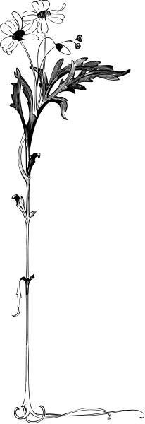 The image shows a black and white photo of an object with two distinct sections: on top is what appears to be a person's head wearing glasses; below it seems like there might be some sort of plant, but due to its small size in this clip-art format, details are limited.