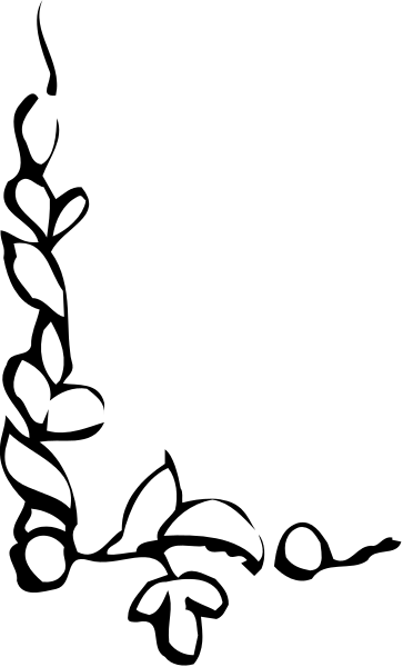 The black and white photo shows a plant with leaves on it against an indistinct background that appears to be out of focus.