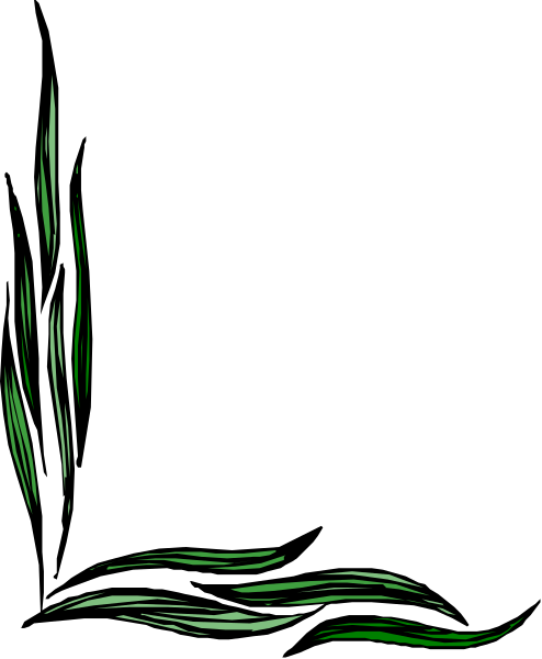 The image shows a black background with an abstract design that resembles swirling patterns of green light on the right side.