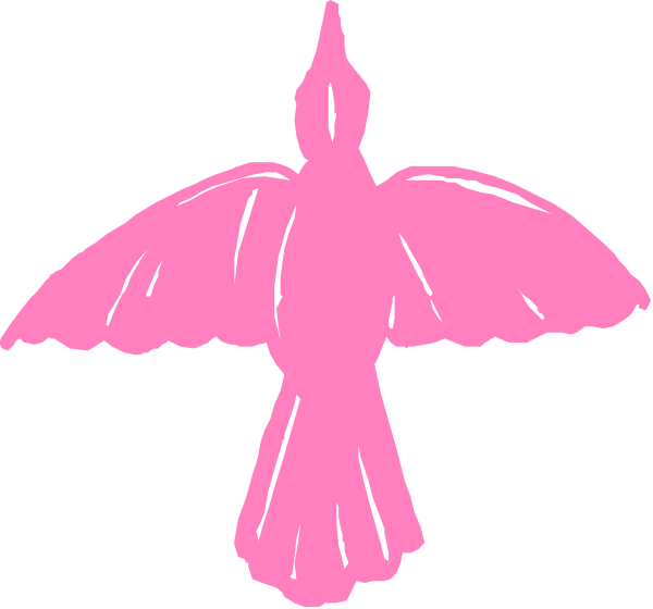 The image shows a pink bird with outstretched wings against a black background.
