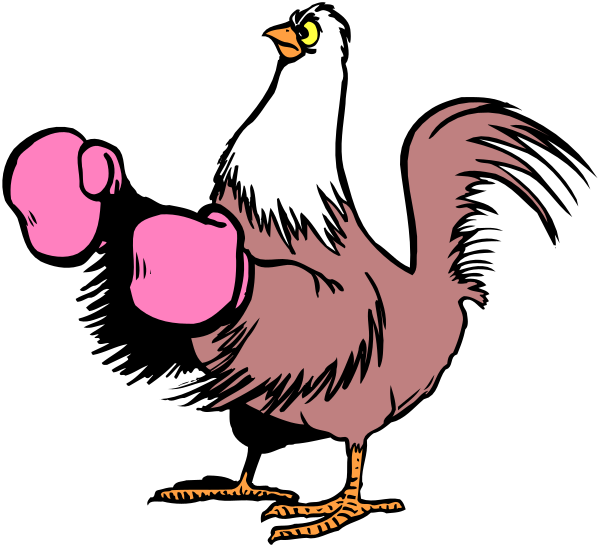 The cartoon shows a chicken with boxing gloves on its feet standing upright against a black background.