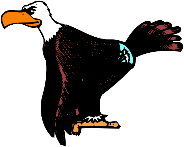 The image shows a black eagle with its wings spread out against an orange background on what appears to be a computer screen displaying clip-art images of birds in flight.