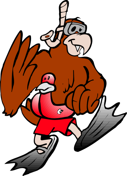 The image shows a cartoon of an eagle with wings spread wide carrying another bird on its back while wearing water skis in mid-air over what appears to be ocean waves.