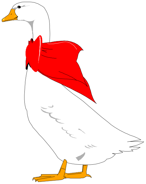 The image shows a white duck with an orange cape on its back standing against a black background.