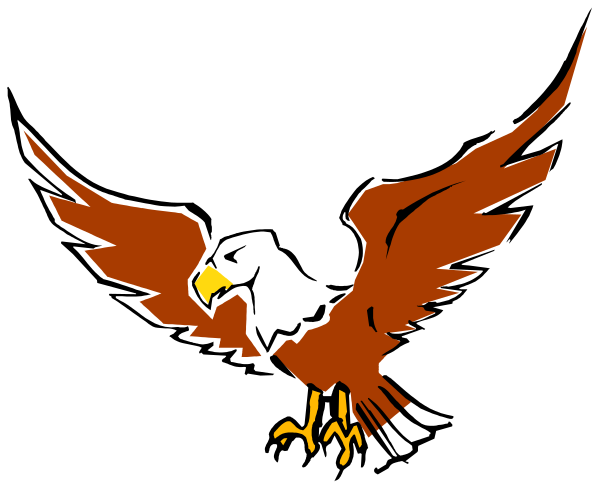 The image shows a stylized eagle with its wings spread wide against an abstract background that resembles feathers in shades of red and black.