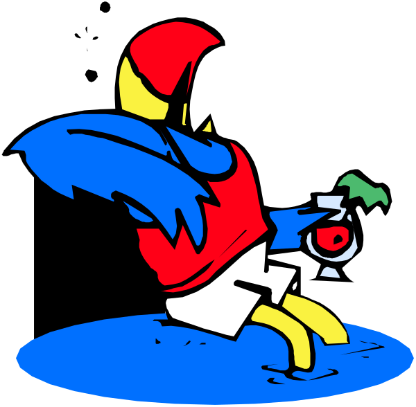 The image shows a cartoon of an anthropomorphic bird character sitting on what appears to be water with its wings spread out as if it's flying over waves in mid-air.