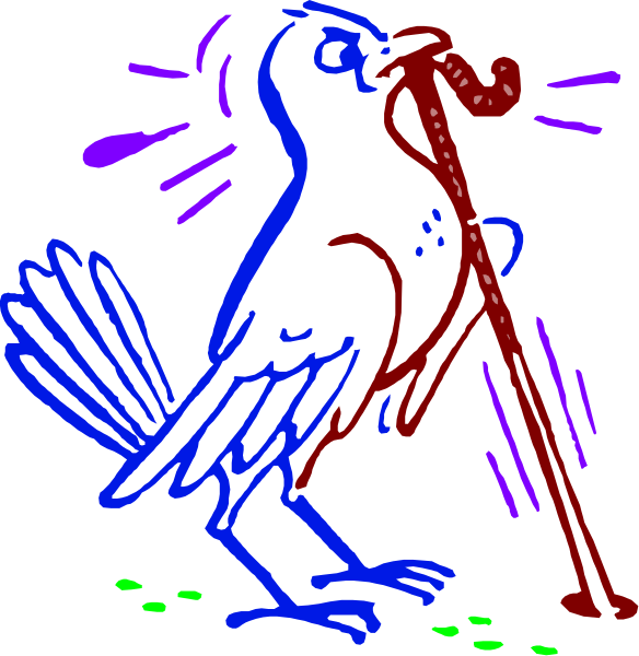 The image shows a cartoon of two birds with human characteristics: on the left is an ostrich-like bird holding a cane in its beak; to the right stands another similar bird wearing glasses, also carrying a walking stick and looking upwards as if observing something above it. Both are depicted against a dark background that suggests nighttime or indoors with artificial lighting.