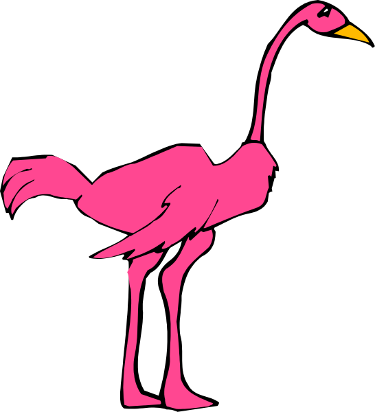 The image shows a pink flamingo standing on two legs with its wings tucked into itself against a black background.