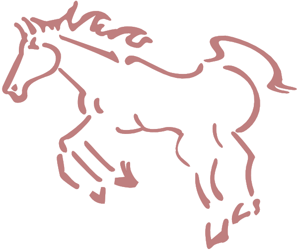 The image shows a black silhouette of an adult horse with its head turned to look at something off-camera.