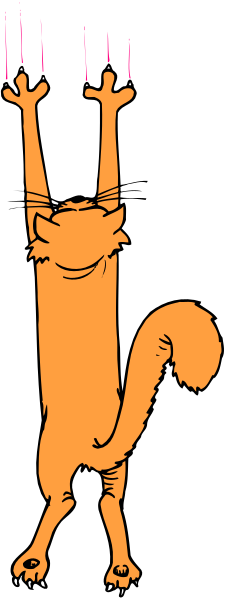 The image shows a cartoon cat hanging upside down from its hind legs with an orange background behind it.