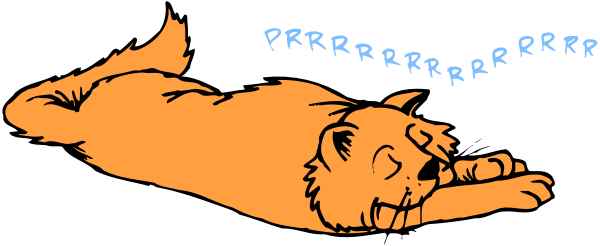 The image shows a black cat with blue eyes lying on its back next to an orange fish swimming upside down above it in what appears to be water.