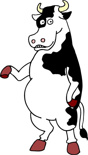The image shows a cartoon of an animated cow with red gloves on its hooves standing upright against a black background.