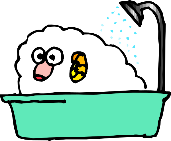 The cartoon shows a sheep taking a bath with water pouring from an overhead showerhead into a bathtub filled to its brim.