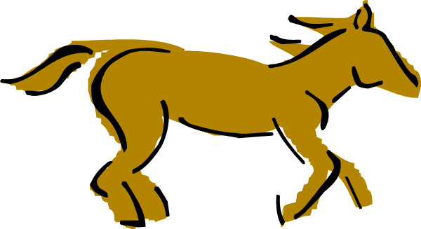 The image shows a horse galloping on an unseen surface with its head turned to look back over its shoulder towards something off-camera.