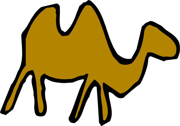 The image shows a camel silhouette with an abstract design on its body against a black background.