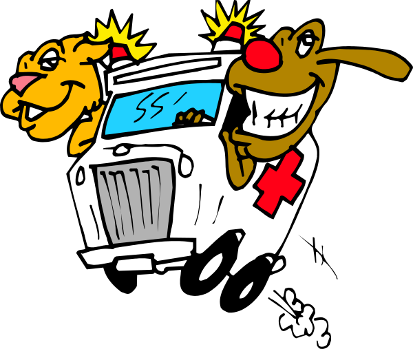 The cartoon shows a car with an ambulance on top of it being driven by two characters: one is wearing medical attire while sitting in front as if driving; behind them sits another character who appears to be a dog, also dressed like a doctor or nurse and looking out the window excitedly.