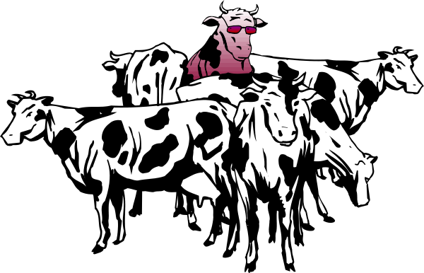 The black and white illustration shows a cartoon depiction of cows with horns riding on their backs atop each other in an orderly fashion against a dark background; there is also one cow that stands out as it has sunglasses, appears to be wearing red lipstick or makeup around its mouth area.