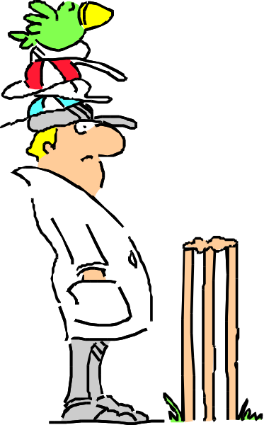The cartoon shows a man with multiple birds perched on his head peeking out from behind him while he is standing next to an umpire's chair in what appears to be a baseball field at night, as indicated by the dark sky and silhouette of trees against it.