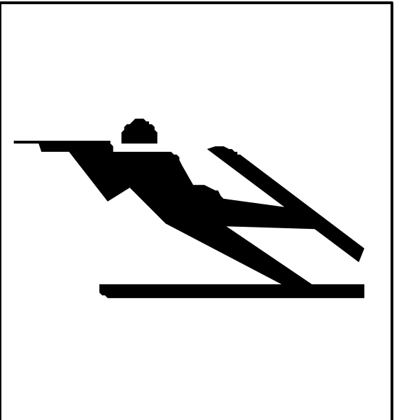 The black and white logo features a person on skis with crossed ski poles above their head to represent swimming, set against two vertical lines that resemble water lanes in an Olympic pool competition context.