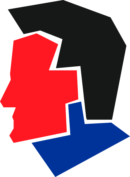 The image shows a stylized graphic of two faces with different expressions merged together against an abstract background that resembles puzzle pieces in shades of blue, red, black, white, and gray tones.