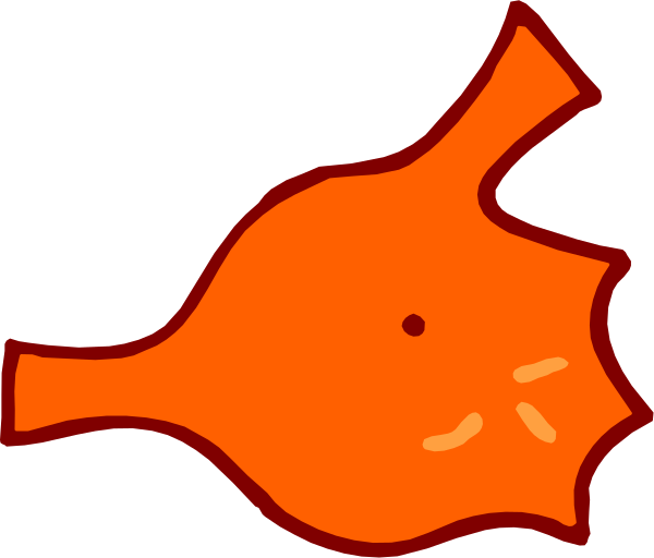 The image shows a red coral reef with an orange fish swimming above it against a white background.