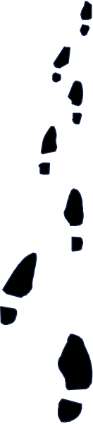 The image shows a black and white photo of an abstract pattern with lines intersecting at various angles on what appears to be a gray background.