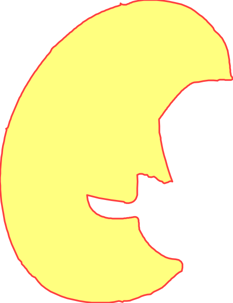 The image shows a stylized crescent moon with an outline of what appears to be a face on it against a dark background.
