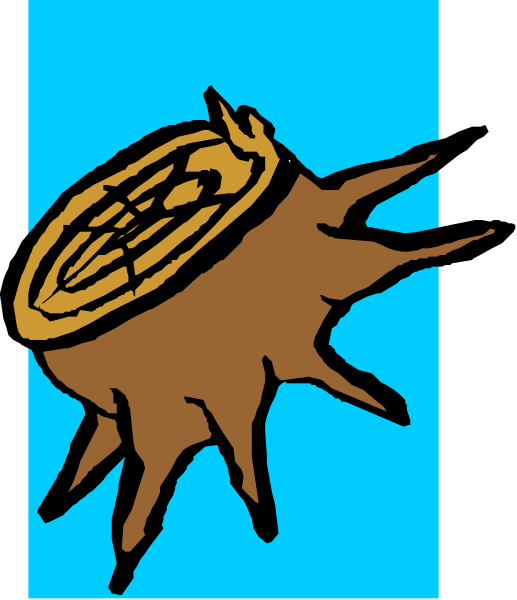 The image shows a stylized illustration of an acorn with two leaves on either side atop it, set against a blue background that resembles water; there is also what appears to be a coin-like object in front of and slightly above the acorn.