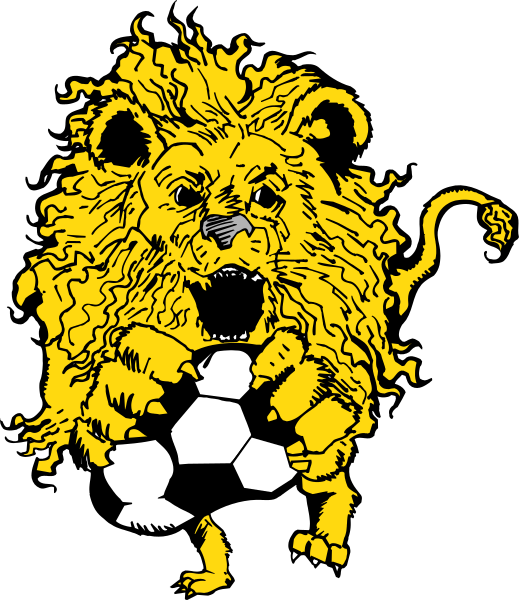 The image features a cartoon lion holding soccer balls with its paws while standing on top of them; it is wearing an orange jersey that has white stripes across the chest.