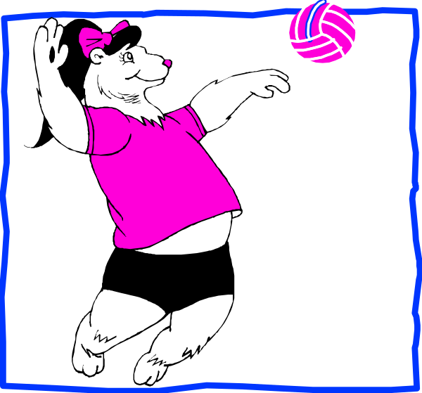 The cartoon shows a bear playing volleyball on an indoor court with pink walls; it is wearing shorts and has its paw raised to hit the ball over the net.