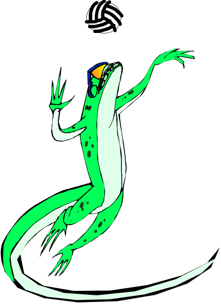 The image shows a cartoon of an alligator playing volleyball with its tail while standing on two legs; it is holding a ball in one hand above its head as if ready to serve.