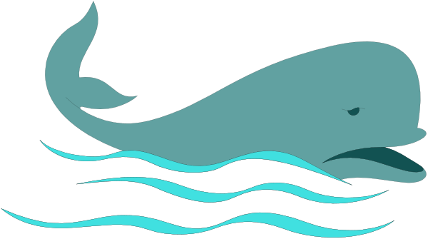 The image shows a whale swimming on water with waves around it under an aqua sky background.