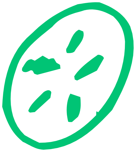 The image shows a stylized illustration of an orange slice with green seeds inside it against a white background.