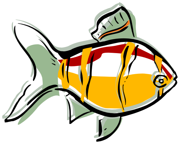 The image shows a stylized fish with an orange body and yellow fins against a black background; it has red stripes on its head and tail fin, giving off vibes of being in motion through water.