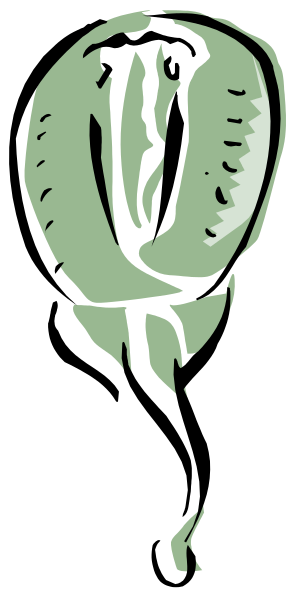 The image shows a black and white illustration of an alien with large eyes holding up its hand to reveal three fingers on each fingerless glove-like appendage.
