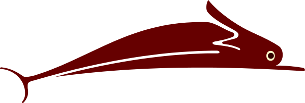 The image shows a red fish swimming underwater with its tail fin extended upwards towards an unseen surface above it.