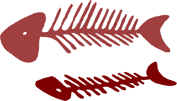 The image shows two fish with red fins swimming next to each other against a black background.
