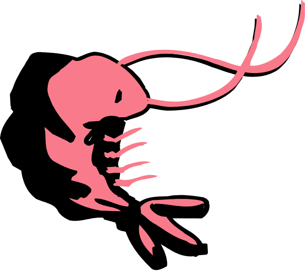 The image shows a pink lobster with its claws raised against an unseen opponent on what appears to be a black background.