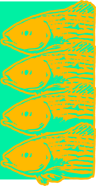 The image shows a fish with four heads on its body against an orange background.