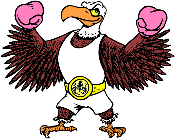 The image shows a cartoon eagle with its wings spread wide, wearing boxing gloves on both hands, standing confidently in front of an American flag background.