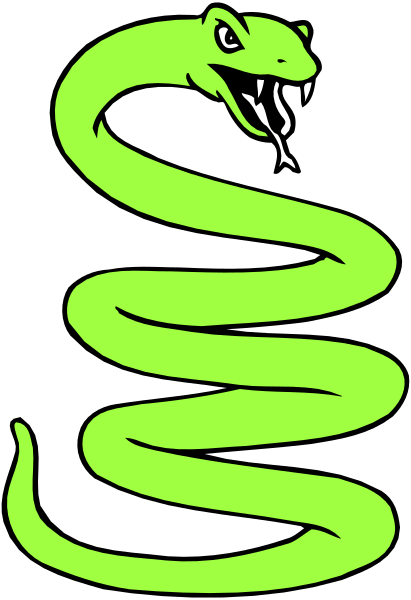 The image shows a stylized green snake with its mouth open on top of an abstract black background that resembles a coiled rope pattern.