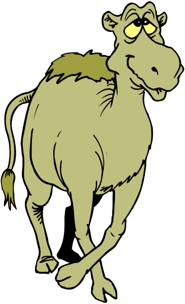 The image shows a cartoon camel standing upright with its head turned to look at something offscreen while wearing what appears to be an oversized shirt that is too big for it; there's no background detail visible in this small clip-art piece, focusing on just the animal and part of its attire.