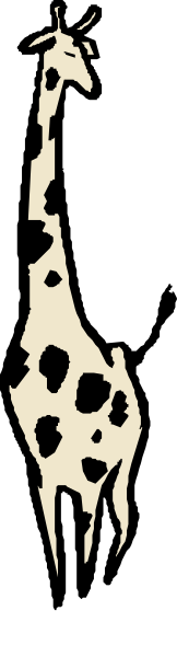 The image shows a giraffe standing next to an ostrich on what appears to be a road with trees lining it in the background.