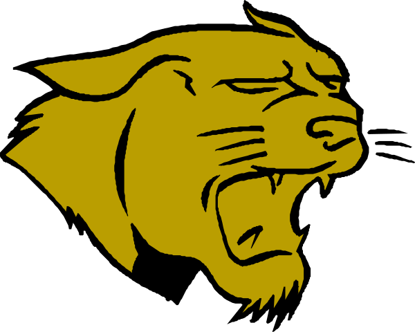 The image shows a black panther with its mouth open against a white background on what appears to be an American football field at nighttime under artificial lighting.