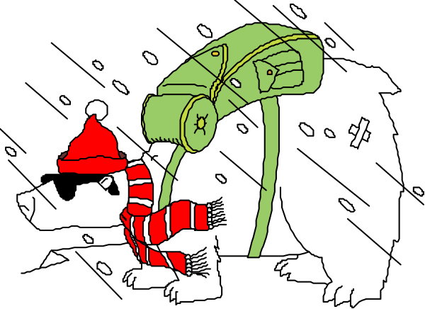 The cartoon shows a polar bear wearing winter clothing including a red scarf with snowflakes on it, hat, gloves, boots, backpack, and carrying an umbrella while walking in rainy weather through what appears to be a city street at nighttime during Christmas time as indicated by the falling snow.