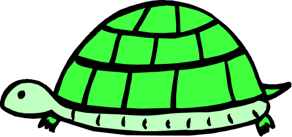 The image shows a green turtle with its shell open on top of what appears to be an orange background.