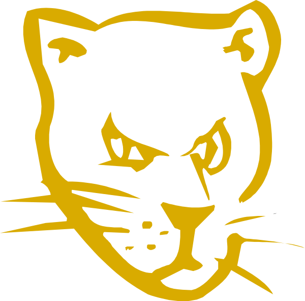 The image shows a stylized black panther's head with yellow eyes against an orange background on what appears to be a sports team logo.